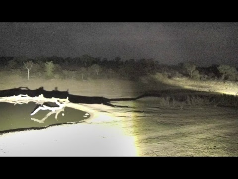 Djuma Private Game Reserve Live Stream