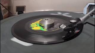 Them - I Can Only Give You Everything 45 - Parrot