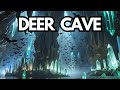 Inside Deer Cave: A Journey Through Malaysia's Hidden Wonder!