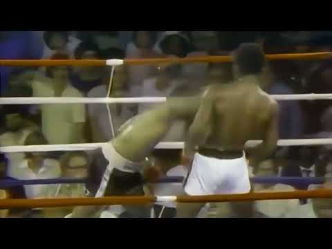 Aaron Pryor vs Antonio Cervantes // Highlights