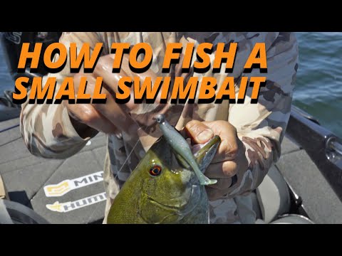 How to Fish a Small Swimbait with Bob Downey