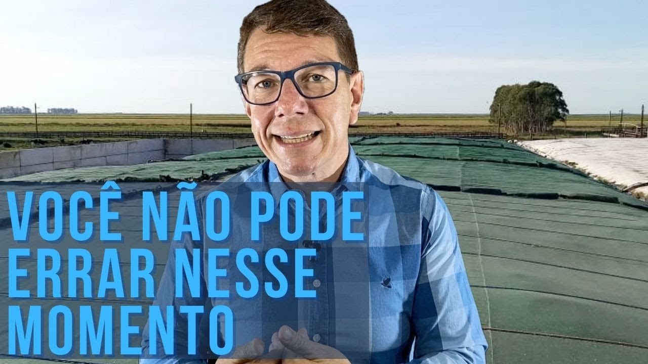 Saiba como vedar seu silo corretamente