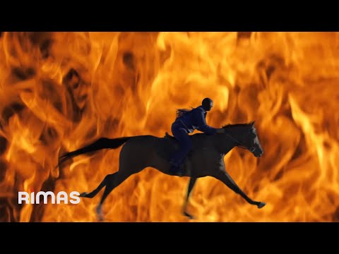 Miniatura de MR. OCTOBER