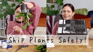 How To Package Houseplant Cuttings & Potted Plants for Shipping! | How I package Plant Mail!