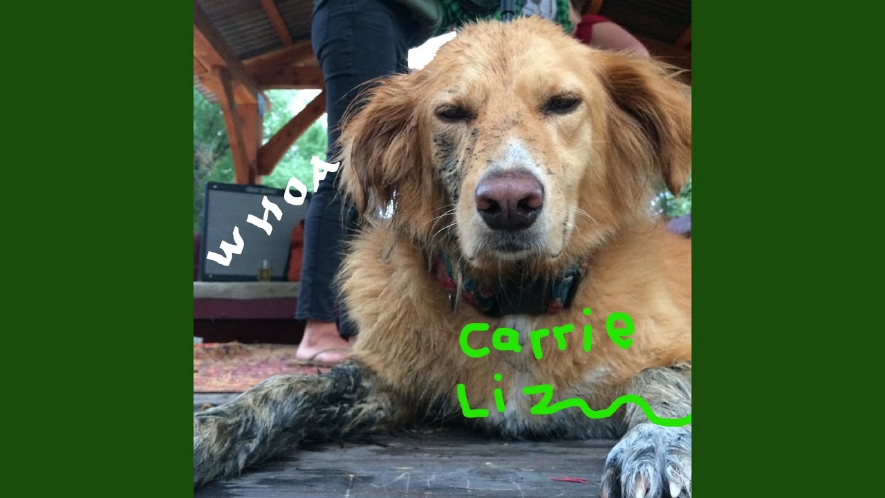 Promotional video thumbnail 17 for Carrie Liz