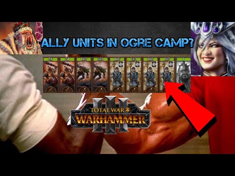 Make Camps easily defendable with Ally units! Total War Warhammer 3