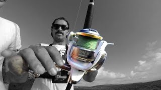 Fishing with a Shimano Stradic - Small Reel Big Fish