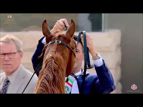 N 164 NADER AL JAWHARA   The Breeders Cup   Kuwait 2020   Straight Egyptians   2 Years Old Colts Cla