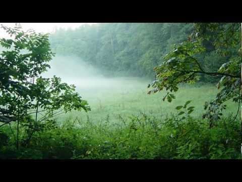 Tenorhornpolka / Viller Spatzen