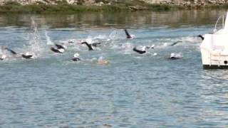 preview picture of video '2009 06 30 REP Littlehampton Aquathlon'