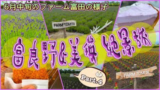【北海道一時帰国旅】ラベンダーが有名なあのファームが広大すぎた! 「ファーム富田」 OFF TO JAPAN CHANNEL