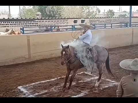 SEBASTIÁN PEREA MIJARES PIAL 1 HACIENDA EL ROSARIO ESTATAL 1 DURANGO 2023...