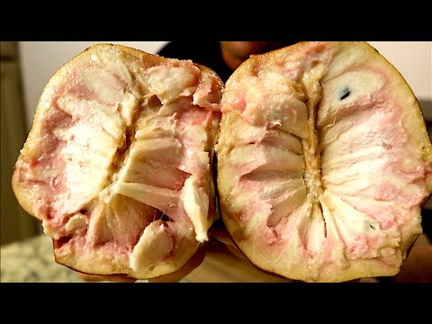 Tropical Superfruits YOU MUST EAT - Amazing!