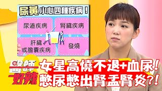 女星高燒不退+血尿！憋尿憋出「腎盂腎炎」？！【#醫師好辣】20221101 part1 EP1441 鍾雲霓 陳櫻文