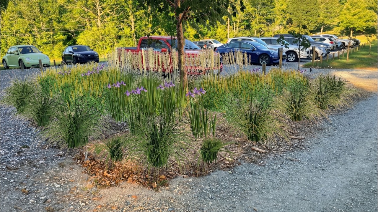 Mill Camp Wines and Ciders 8 18 25