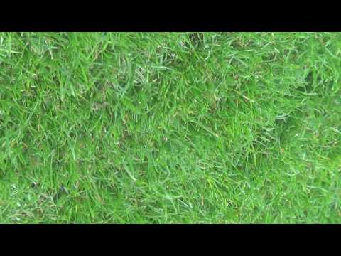 Utkání Litoměřick-Jiskra velká šance  hlavička Brauna