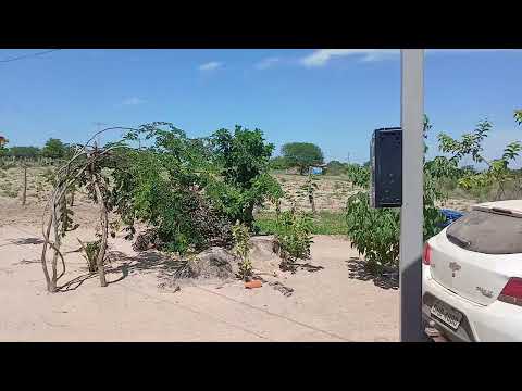 Ferias em Bom Jesus da Lapa Bahia 12/2025