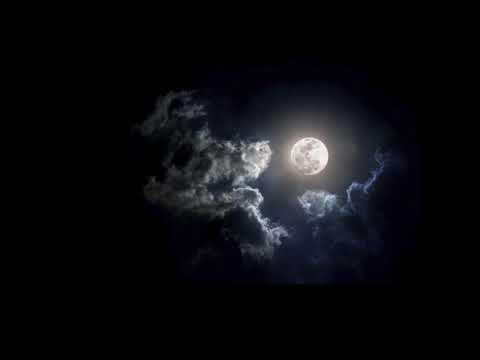 Luna llena🌌😍