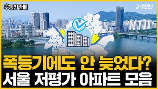 미친 집값, 난 이제 어떻게? 이재명 시대에 돈 버는 투자 전략ㅣ부동산카페 [금주머니TV]