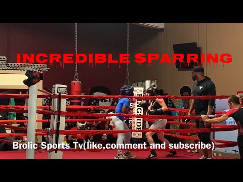 Incredible Sparring Session