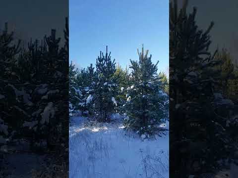 Photofeed Landscape Photography