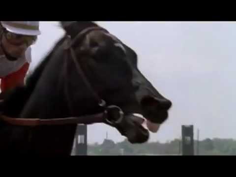 Ruffian VS Foolish Pleasure - How to Save a Life