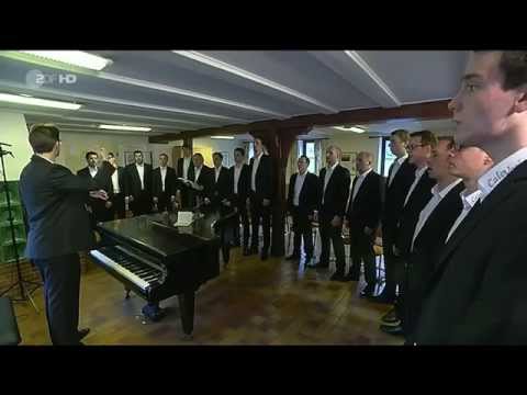 ZDF sonntags - Vorstellung des MännerGesangsEnsembles CalvVoci