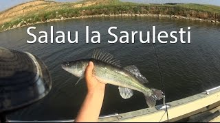 preview picture of video 'Partida de salau pe lacul Sarulesti'