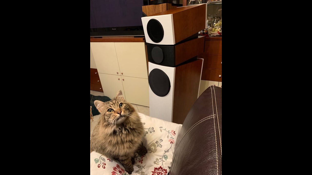 KEF SPEAKERS FLAME - Kef and Audax speaker system - PETER 2021