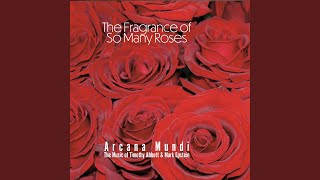 Here I Am, There You Are