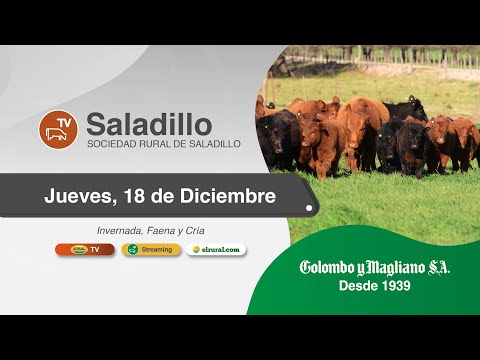 2025.12.18 Remate TV Saladillo