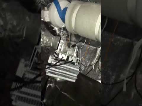 Spectrum king led 402 +120 end 90 amnesia haze week 9 flower