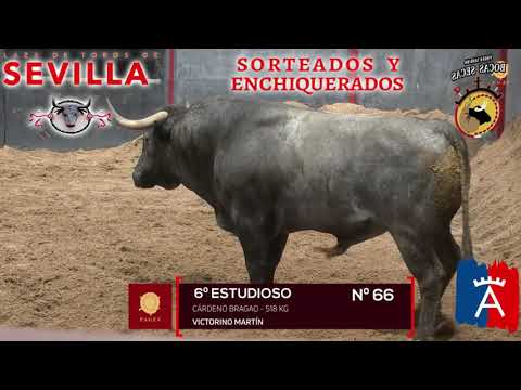 Acto de protesta contra la tauromaquia interrumpe la corrida en Las Cruces