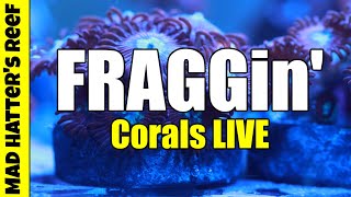 🔴 We are Fragging LIVE!