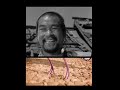 Seven Samurai But It S A Bug S Life Trailer