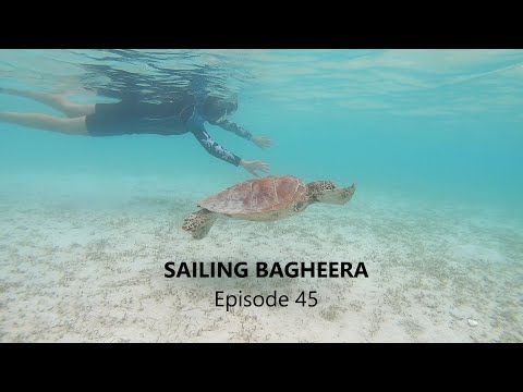 The Bad side of Lizard Island. Strong winds, no internet, and Sheryl kills the GoPro