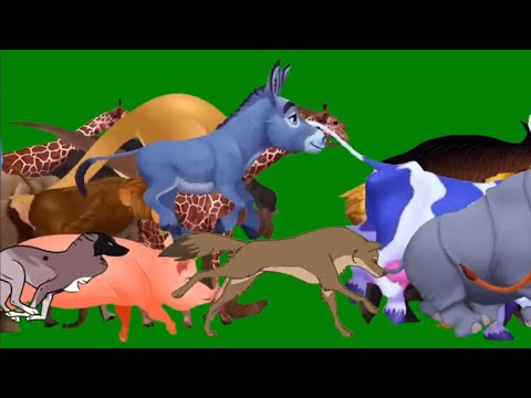 Zoo animal and cartoon animal stampede green screen animation videol compliation running l 