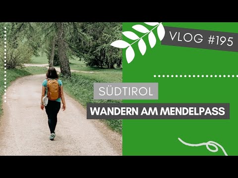 Mit der Mendelbahn hoch zum Mendelpass + Wanderung zur Halbweghütte | VLOG #195 | SÜDTIROL 🇮🇹