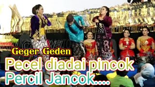 Download lagu PERCIL - Geger geden percil vs Lusi Brahman - Proborini mp3