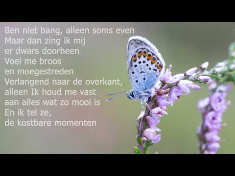 Leef met Volle Teugen - Elbert Smelt & Kinga Bán | HD kwaliteit | Met songtekst