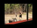 Clarks Trading Post Museum  Train ride Woodstock, New Hampshire  P2