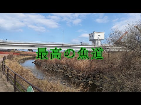 グアナカチェ湖 - 定義