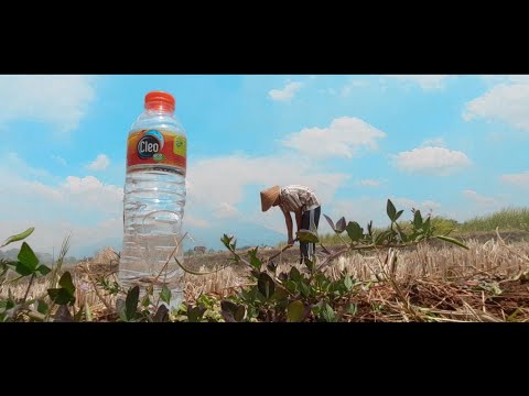 behind-the-scenes-sasalad-wabah-duta-muda-cleo-2020forhealthierfuture