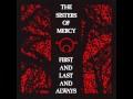 The Sisters Of Mercy - No time to cry