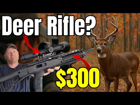 The $300 Deer Rifle? Hi-Point 995 Test