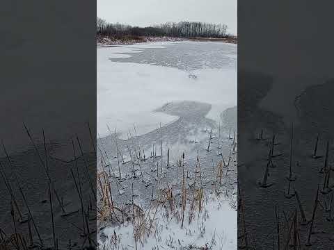 Looking Forward To Ice Fishing.