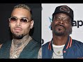 Snoop Dog Chris Brown And Other Celebrities Gang Affiliation Thuggerization Of Hip Hop