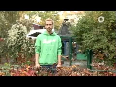 Leben ohne Geld - Luxus der Genügsamkeit  - XEN.ON TV