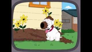 Family Guy - Brian the Cutest