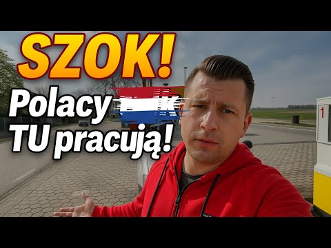 TOP 5 JOBS in the Netherlands for Poles in 2025! How much can you earn? SHOCKING!